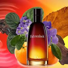 Fahrenheit Inspired Perfume for Men 100ml